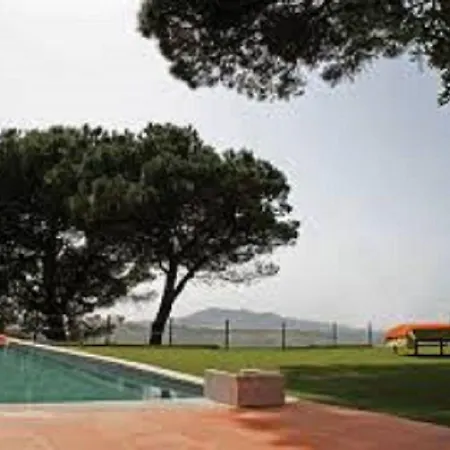 Shepinetree - Pinheira Vale de Lobos